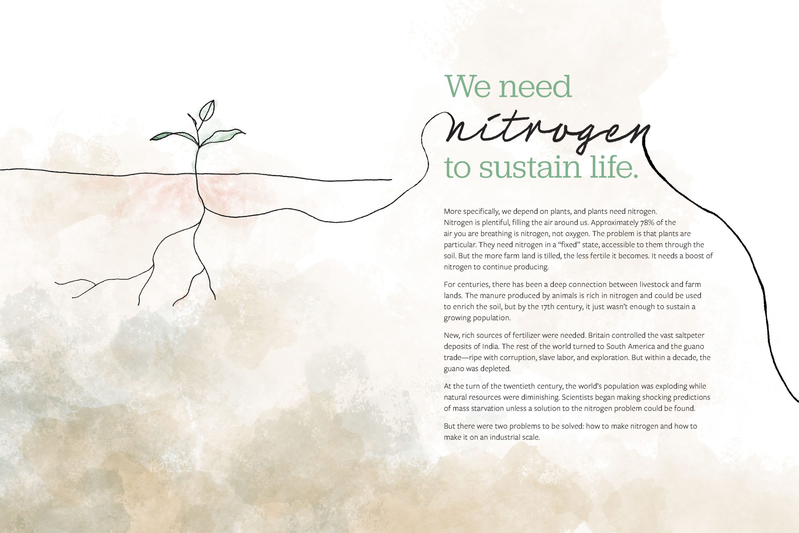 Its Complicated_Draft 5_Page_03 Plant seedling with roots showing nitrogen cycle importance for sustainable agriculture and food production