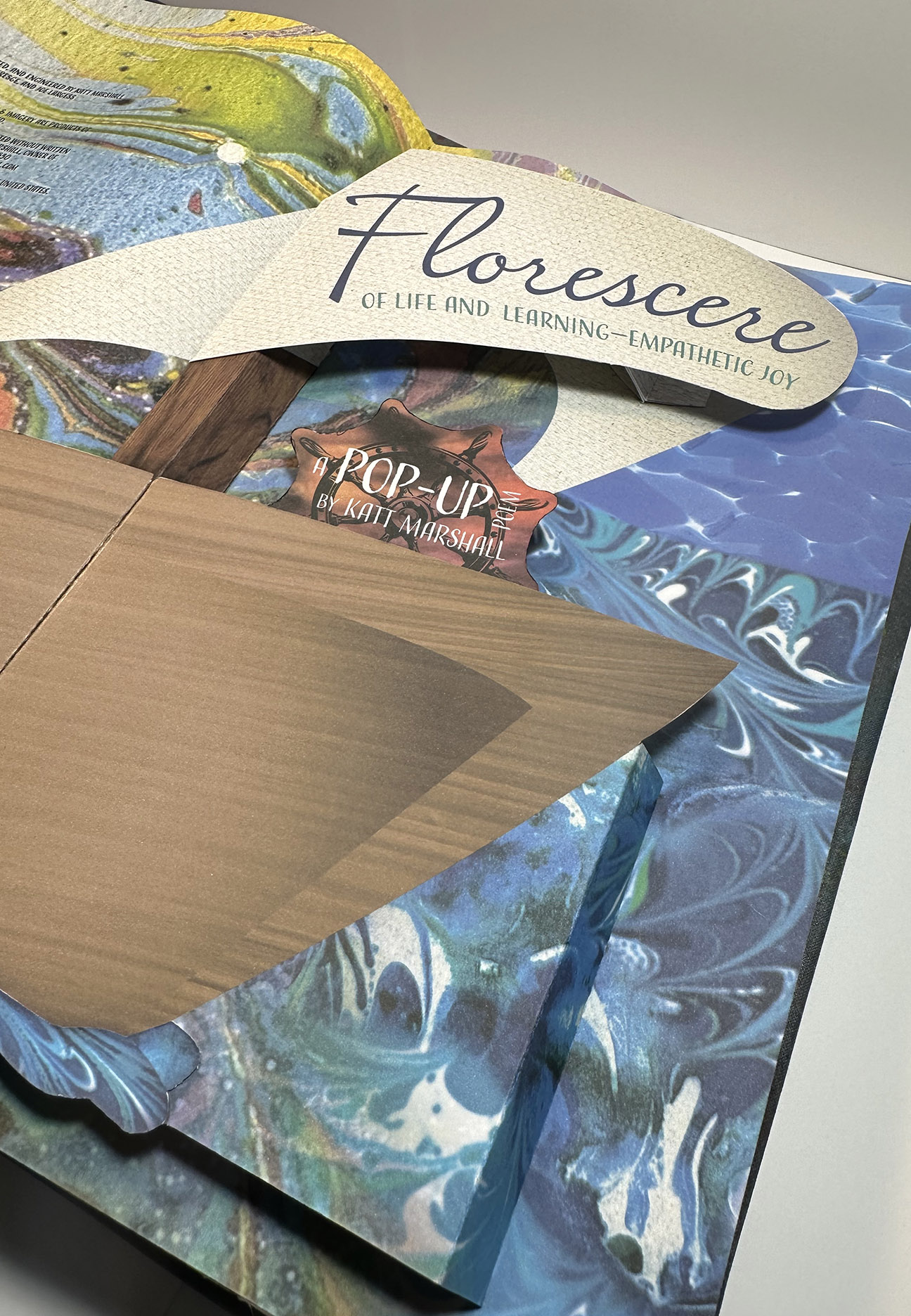 3_florescere_IMG_7221 Florescence pop-up book by Katy Marshall with wooden sculptural elements and colorful artistic pages displayed open