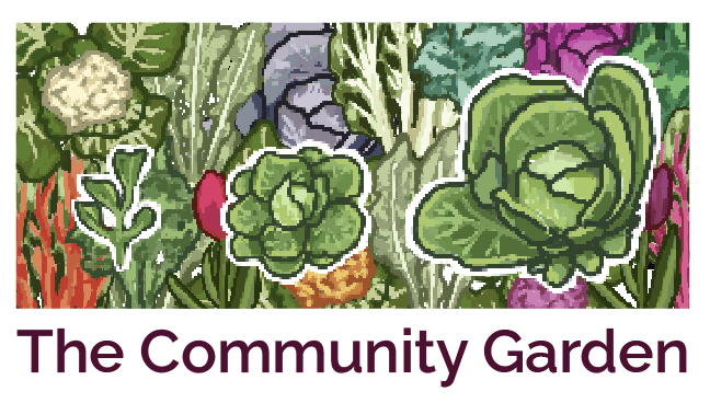 Thesis_Logo1 Community garden illustration showing various vegetables including cabbage, cauliflower, carrots and leafy greens